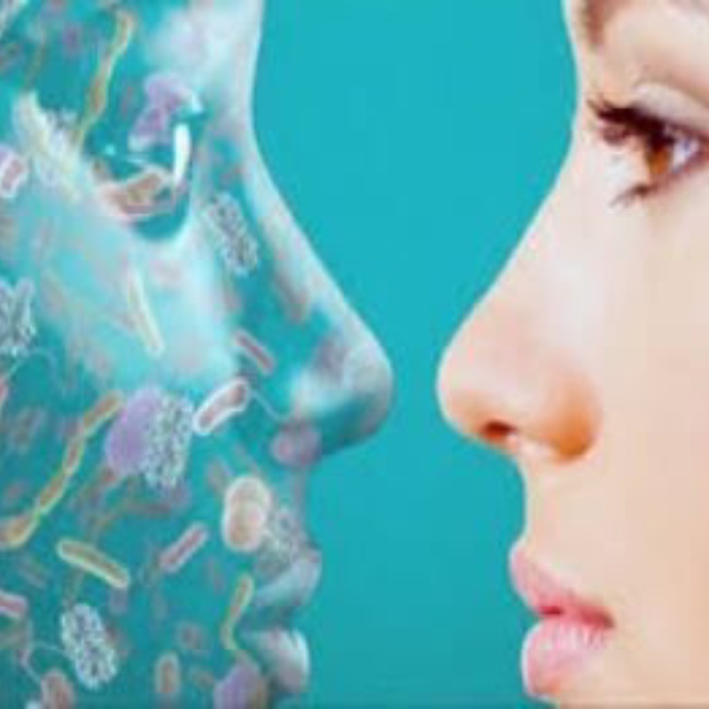 microbiota