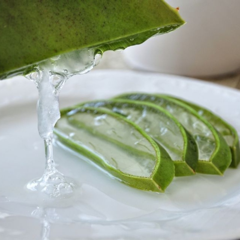 aloe-vera